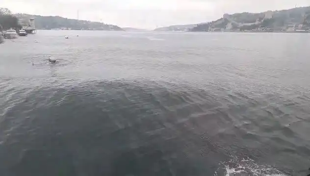 İstanbul Boğazı’nda Dalgalar Yükseliyor: Denizin Gücü ve Güvenlik Önlemleri