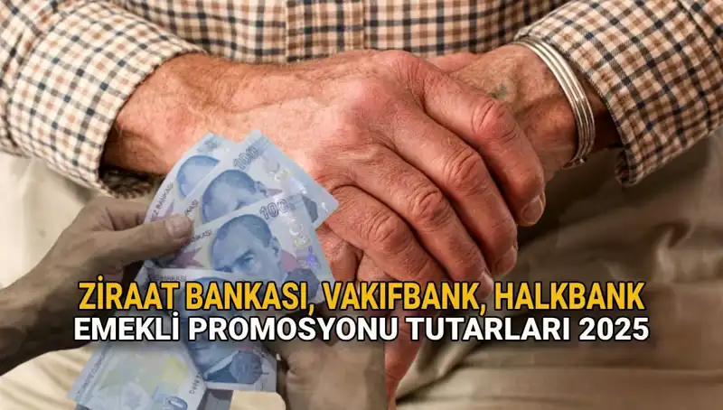 2025'te Emeklileri Bekleyen Kamu Bankası Promosyon Fırsatları