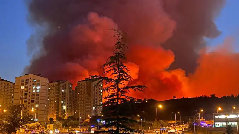 Bursalılar Yangın Tehlikesiyle Yüz Yüze: Alevler Şehri Sardı