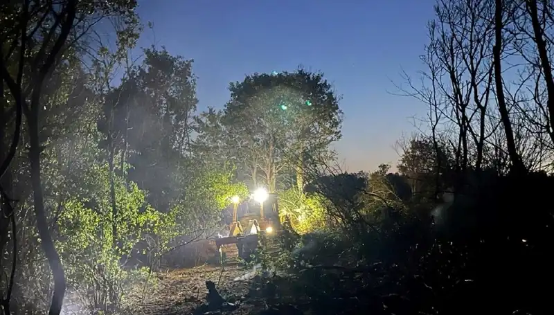 Edirne'de Can Kaybı Olmadan Orman Yangını Kontrol Altına Alındı