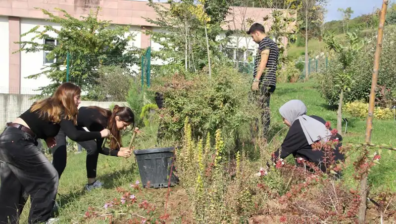 Düzce’nin Gururu: Hayalden Gerçeğe Dönüşen Başarı Hikayesi