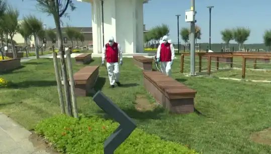 Kene Vakasının Artışı: Halka Açık Alanlarda İlaçlama Çalışmaları Başlıyor