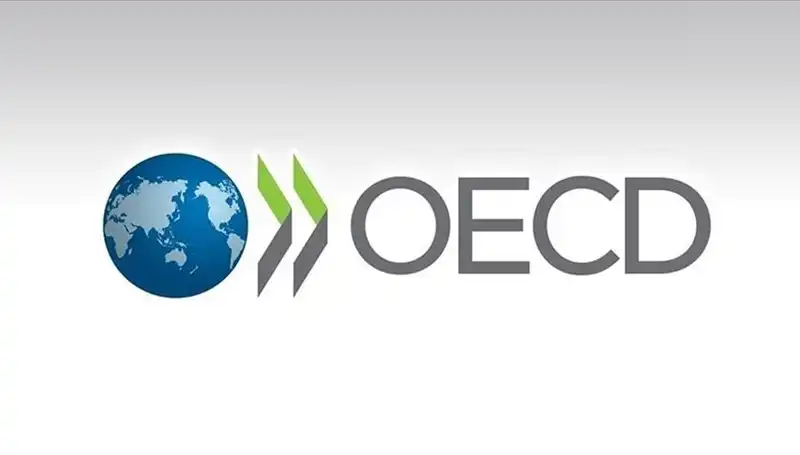 OECD, Türkiye’nin Ekonomik Büyüme Tahminini Güncelledi: Beklentiler Ne Şekilde Değişti?