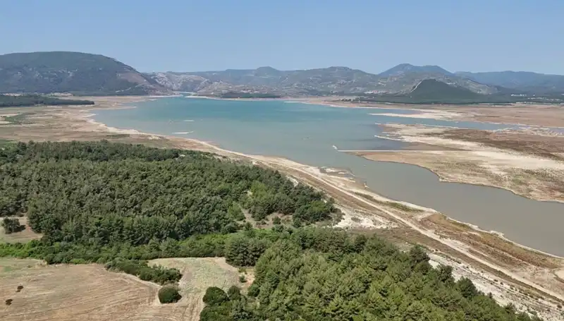 İzmir'de Ekonomik Kriz Uyarısı: Yüzde 50 Düşüş Oranı Alarm Veriyor