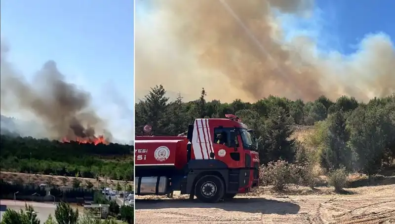 Gebze'deki Orman Yangını: Doğa Katliamı ve Mücadelenin Detayları