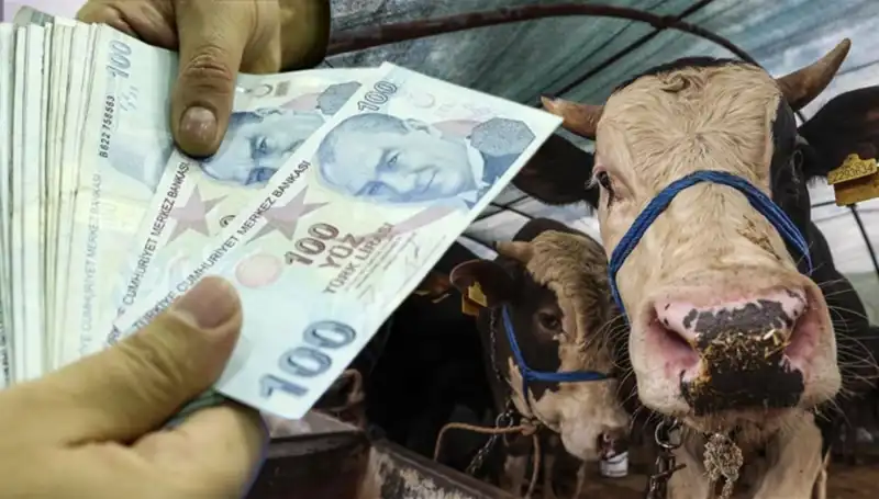 Emekli ve Memur Maaşları Kurban Bayramı'nda Yatacak mı?