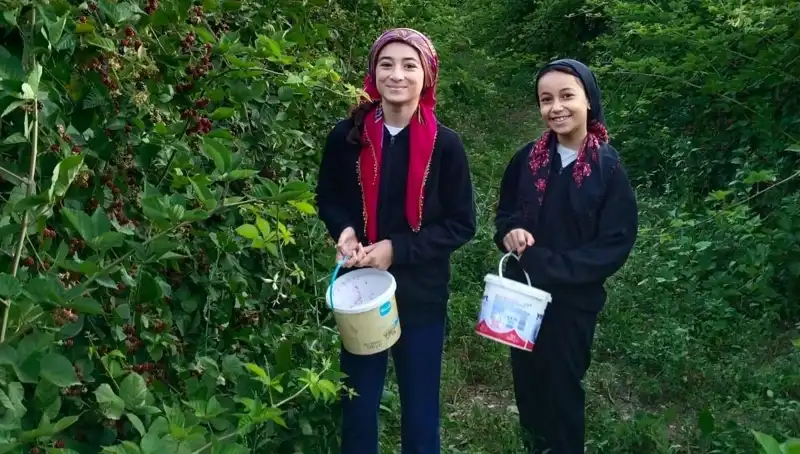 Antioksidan Zengini Besinler: Kanserle Mücadelede Güçlü Bir Silah