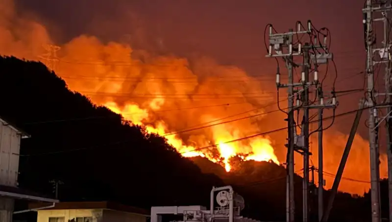 Japonya’da Orman Yangınları: İki Eyalet Tehlike Altında