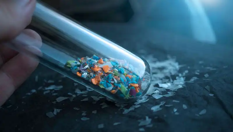 Mikroplastikler Beyin Sağlığını Tehdit Ediyor: Bilimsel Gerçekler ve Etkileri