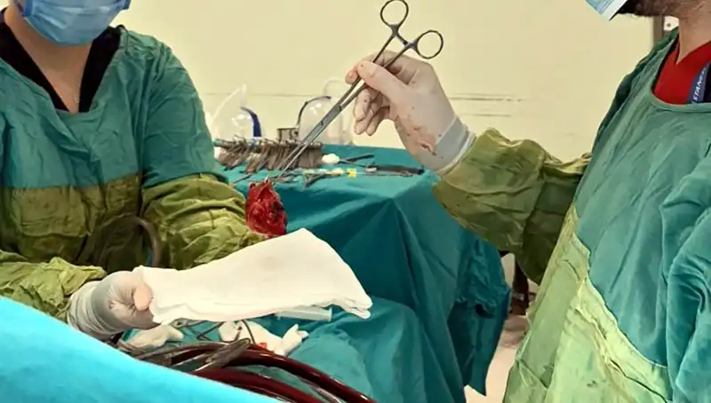 Kalp Ameliyatında Eşsiz Bir Başarı: 7 Saat Süren Mucizevi Operasyon