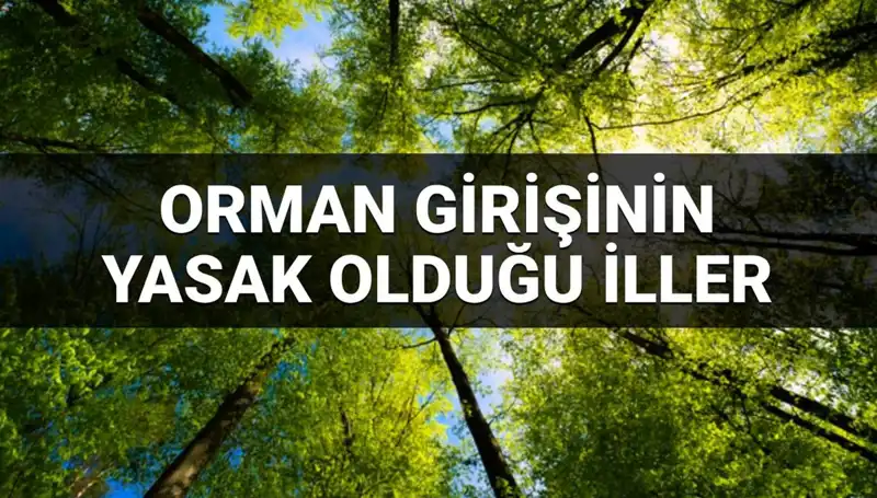 2025’te Ormana Giriş Yasak Olan İller Hangileri?