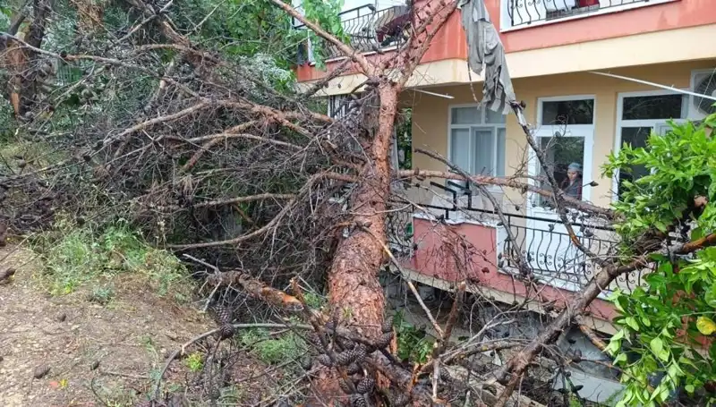 Bir Yağmur, Bir Bina: Doğanın Gücüne Tanıklık Eden İlginç Olay