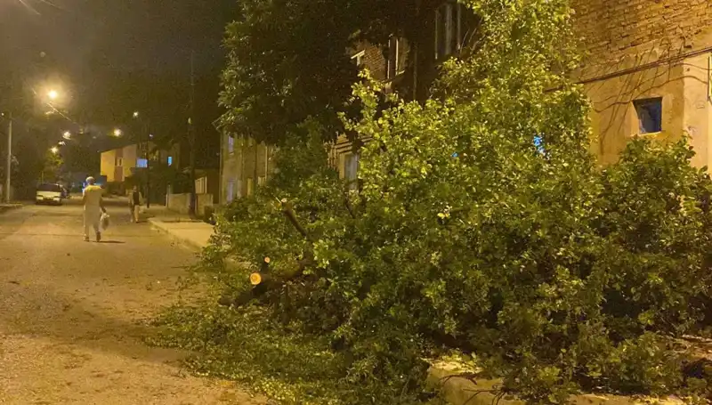 Karabük'te Fırtına Hayatı Olumsuz Etkiledi: Zarar ve Tedbirler Değerlendiriliyor