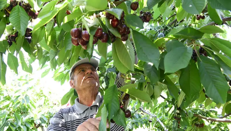 Lapseki Devi: Çay Bardağına Sığmayan Devasa Su Tesisatında Neler Var?