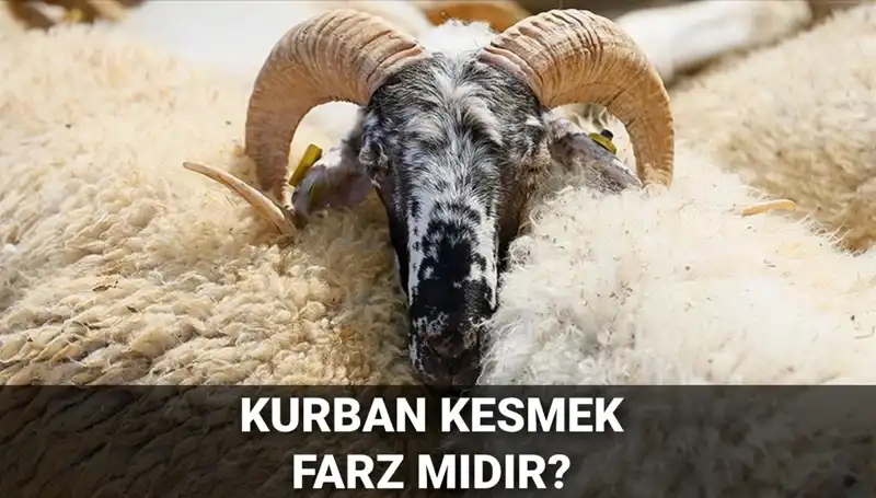 Kurban Kesmenin Hükmü ve Şartları: Diyanet'in Görüşü Nedir?