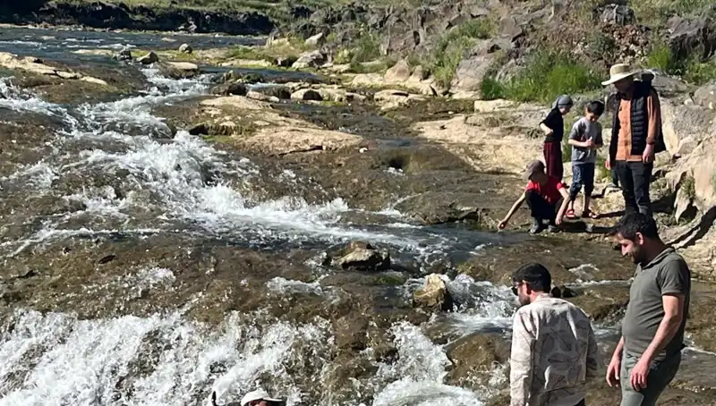 İnci Kefali Göçü: Doğa Harikası Binlerce Turisti Ağırlıyor